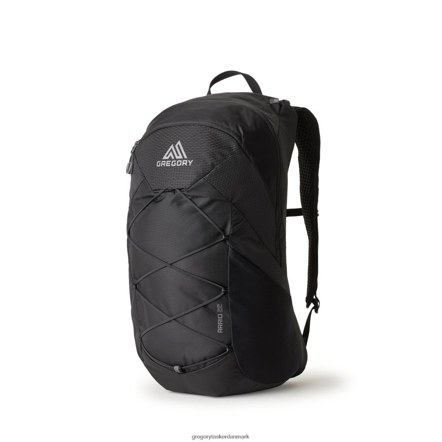 pakker dk Gregory Packs Arrio 22 flammesort DF2THJ196