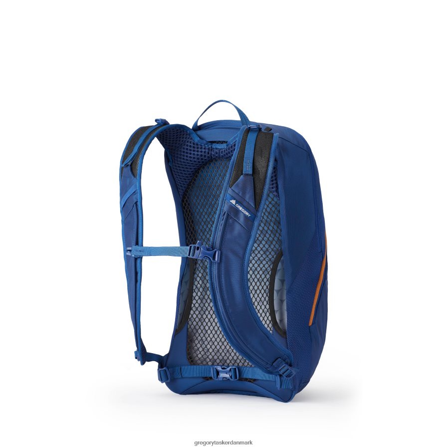 pakker dk Gregory Packs arrio 22 plus størrelse empire blå DF2THJ137