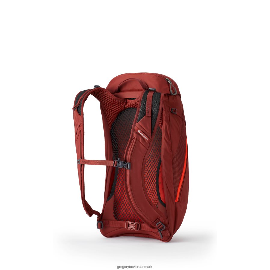 pakker dk Gregory Packs arrio 24 plus størrelse murstensrød DF2THJ117