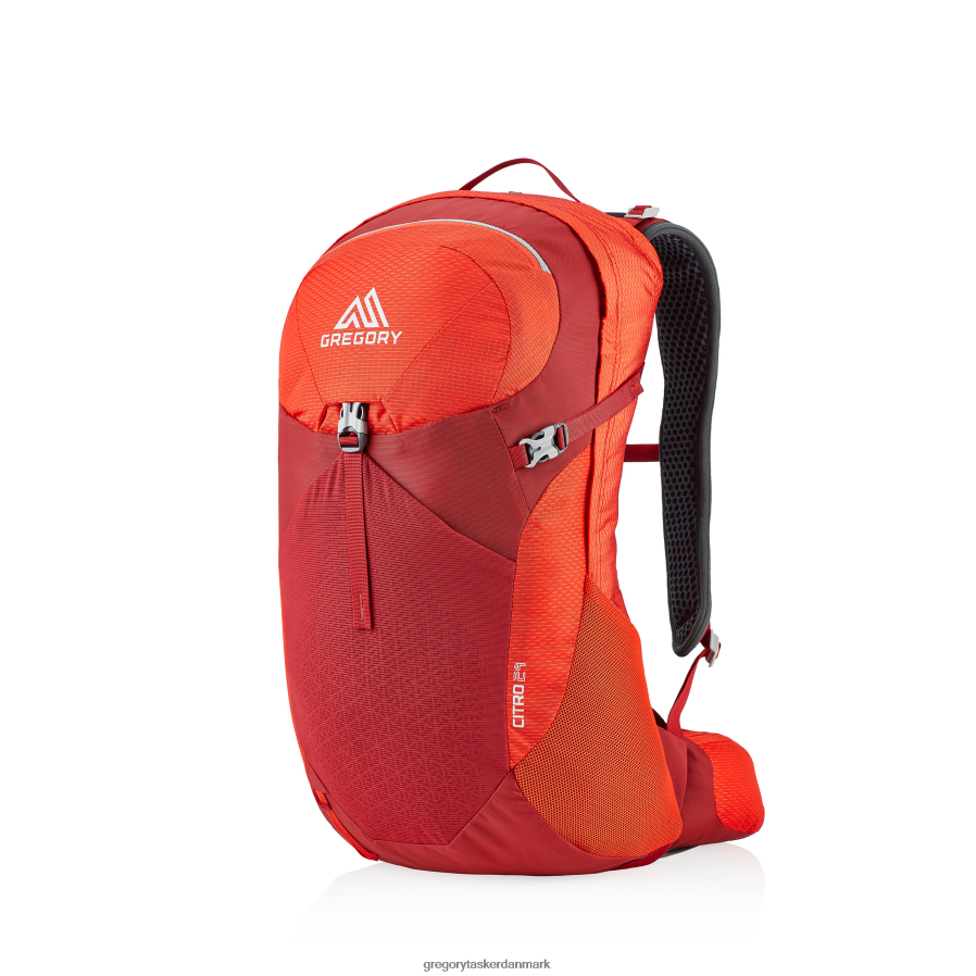 pakker dk Gregory Packs citro 24 livlig rød DF2THJ224