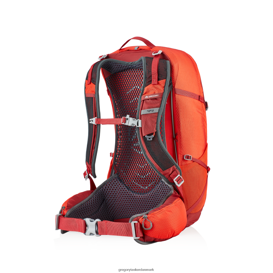 pakker dk Gregory Packs citro 30 livlig rød DF2THJ230