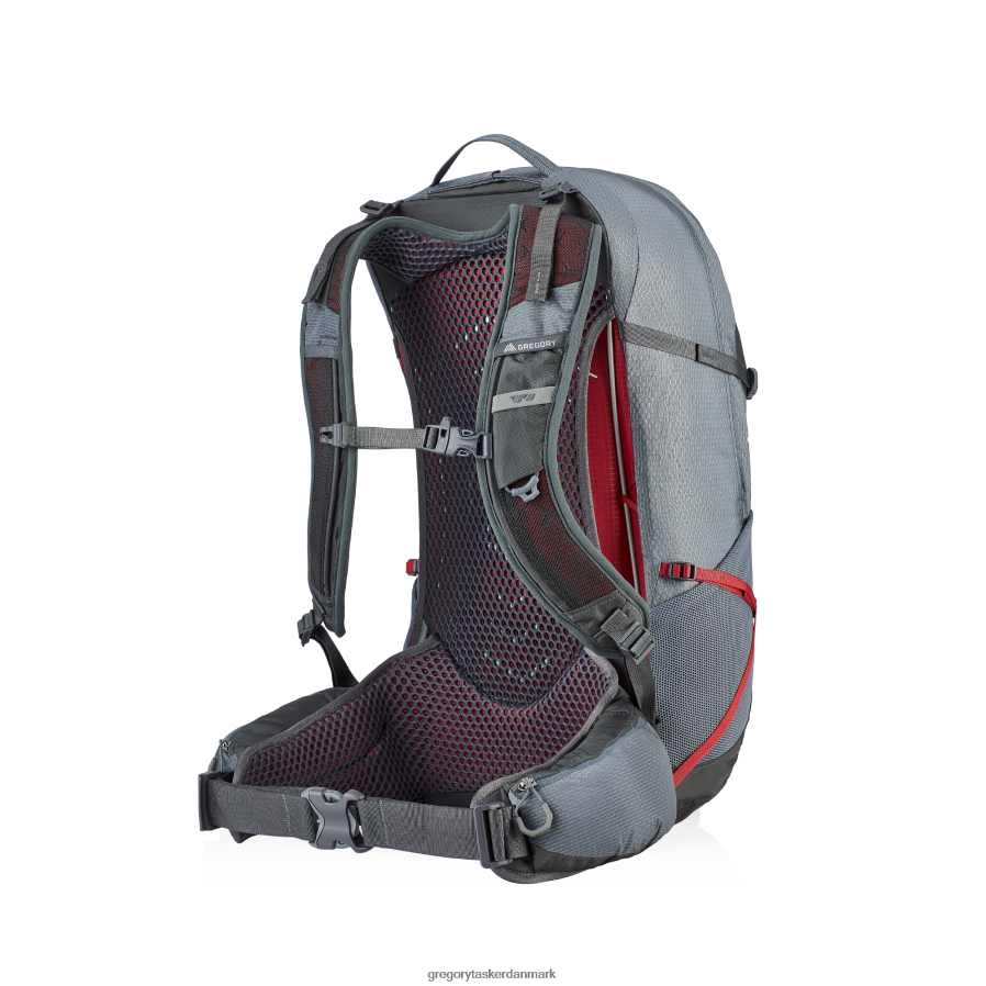 pakker dk Gregory Packs citro 30 røg grå DF2THJ232