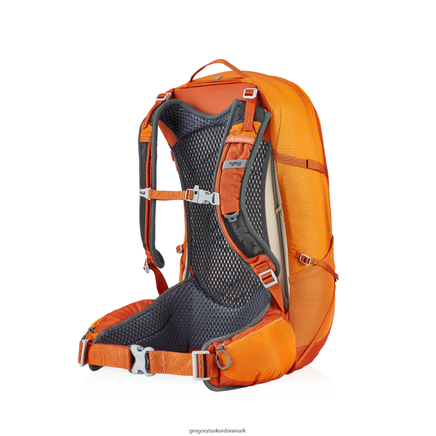 pakker dk Gregory Packs juni 30 arroyo appelsin DF2THJ235