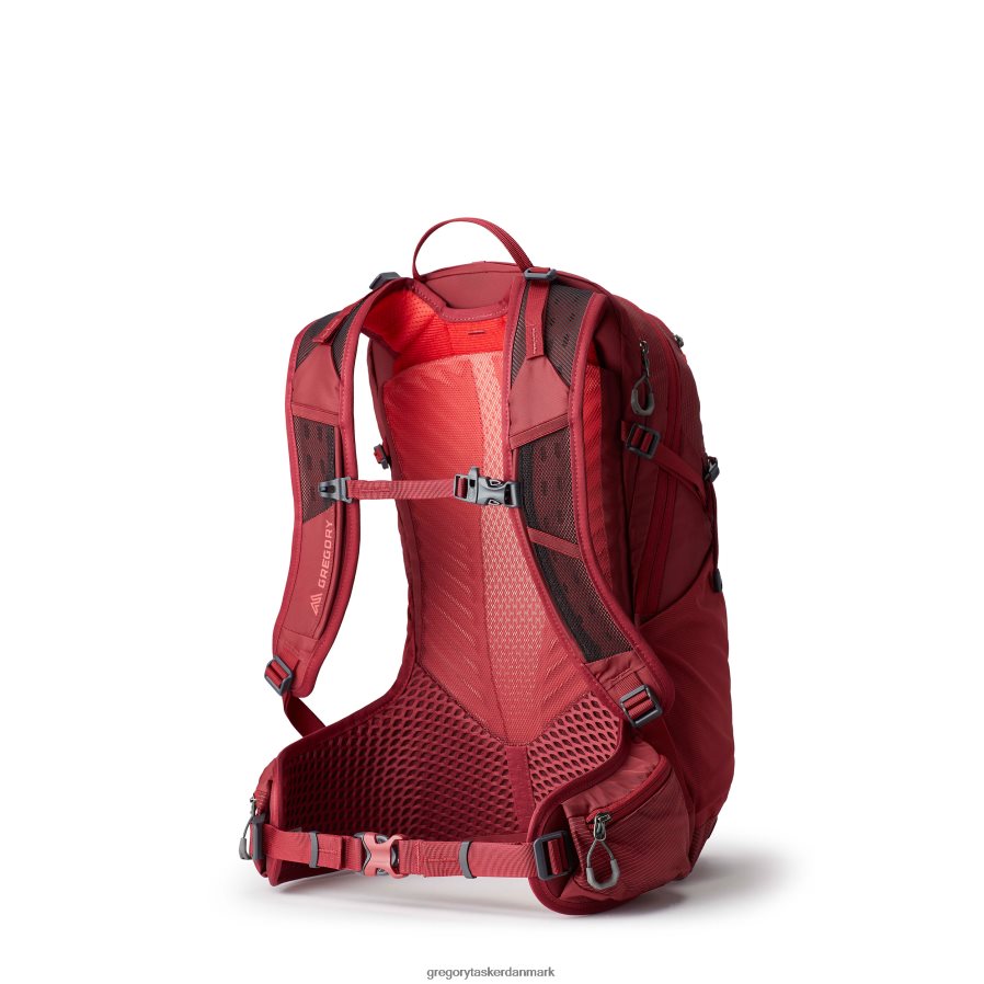 pakker dk Gregory Packs maj 15 iris rød DF2THJ76