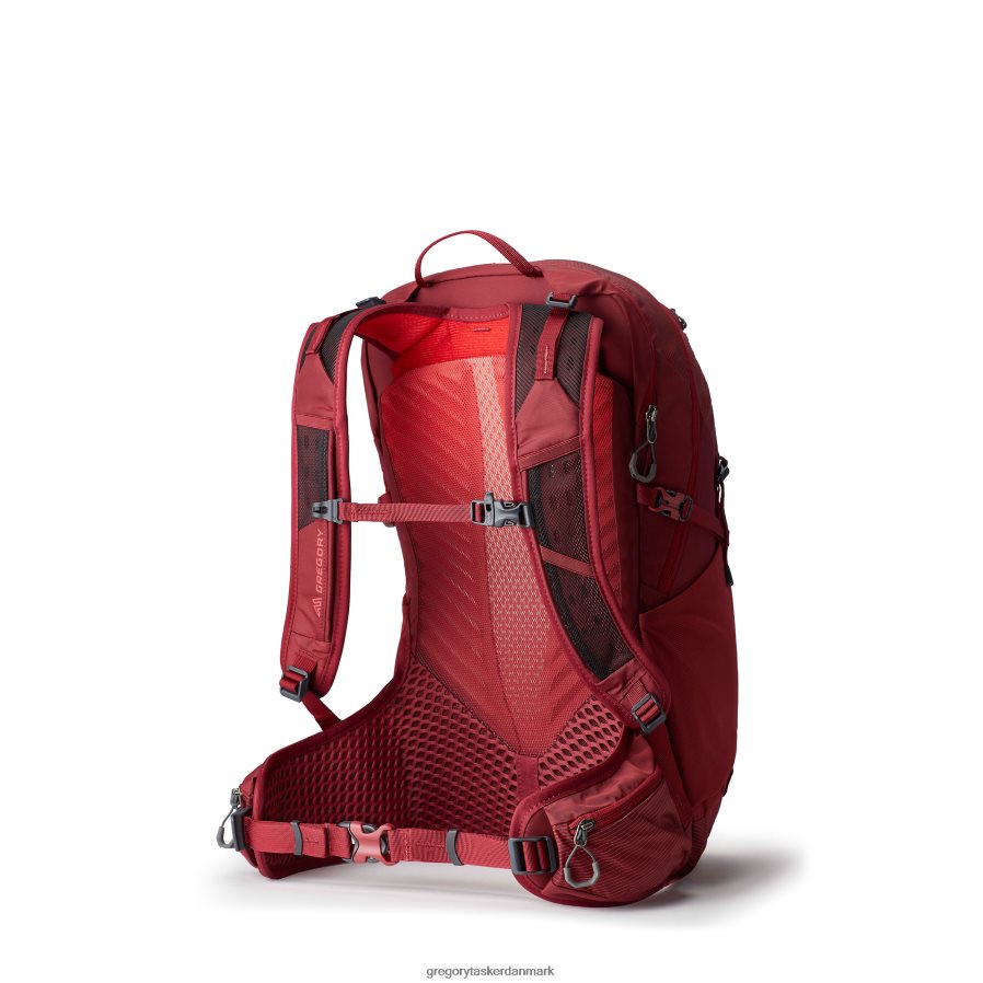 pakker dk Gregory Packs maj 25 iris rød DF2THJ87