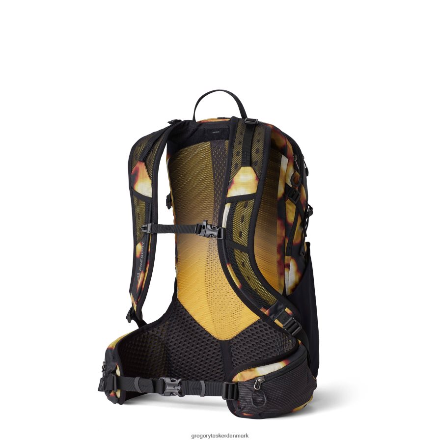 pakker dk Gregory Packs miko 15 sommersolhverv DF2THJ86