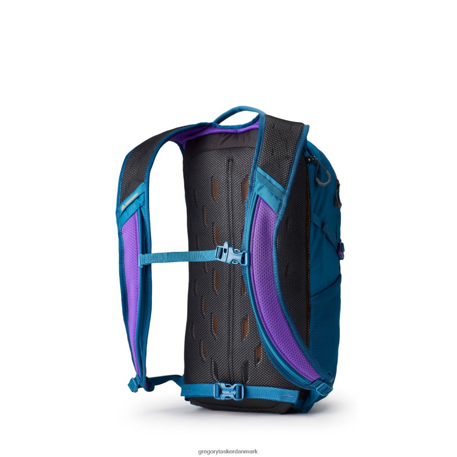pakker dk Gregory Packs nano 20 plus størrelse ikon blågrøn DF2THJ110