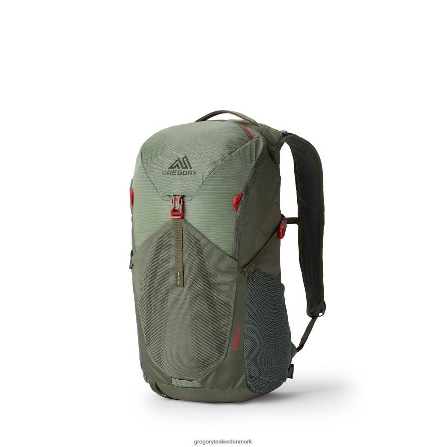 pakker dk Gregory Packs nano 24 flammende grøn DF2THJ201