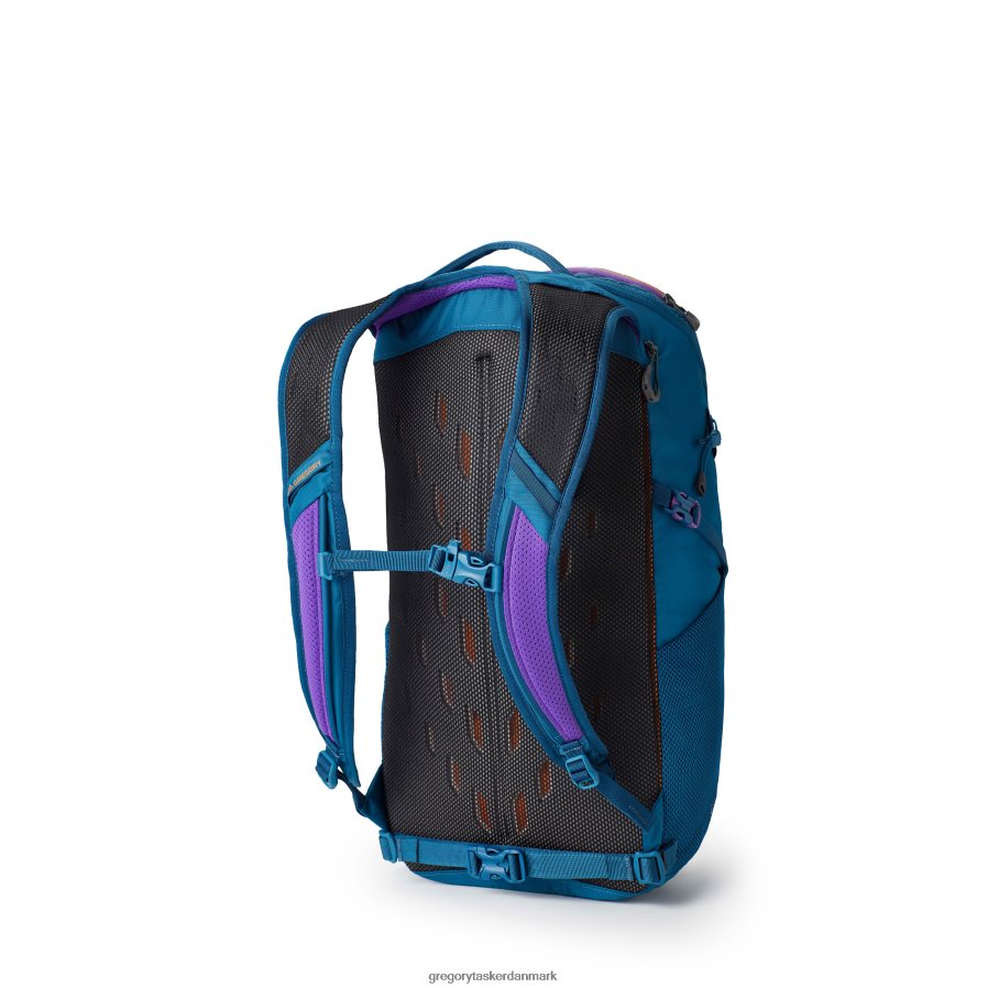 pakker dk Gregory Packs nano 24 ikon blågrøn DF2THJ198