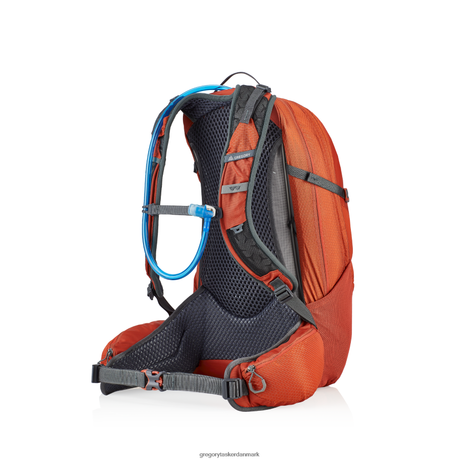 pakker dk Gregory Packs citro 24 h2o gnist orange DF2THJ287
