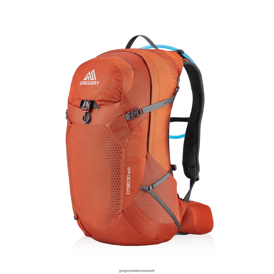 pakker dk Gregory Packs citro 30 h2o gnist orange DF2THJ274