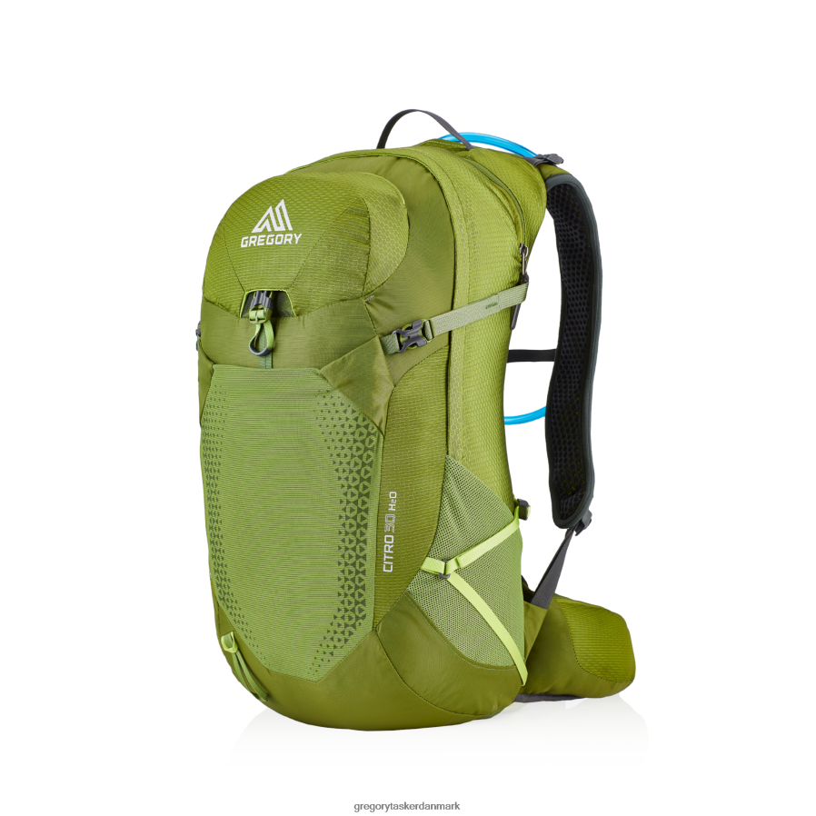 pakker dk Gregory Packs citro 30 h2o mantis grøn DF2THJ276
