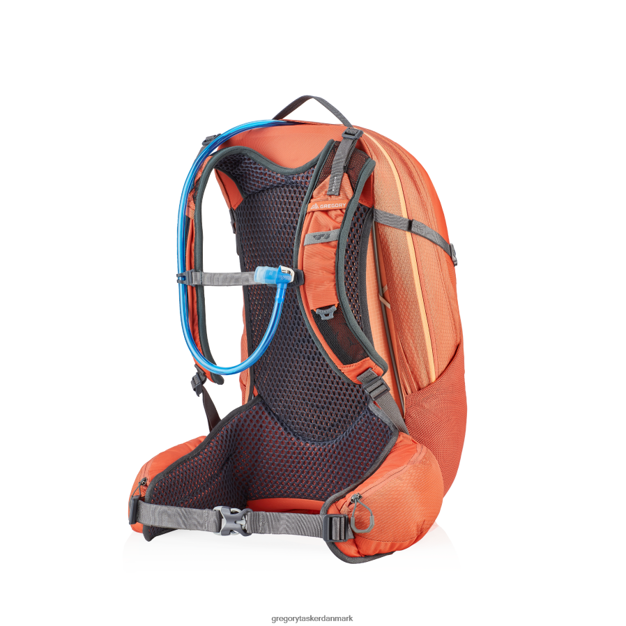 pakker dk Gregory Packs juni 24 timer koralrød DF2THJ279
