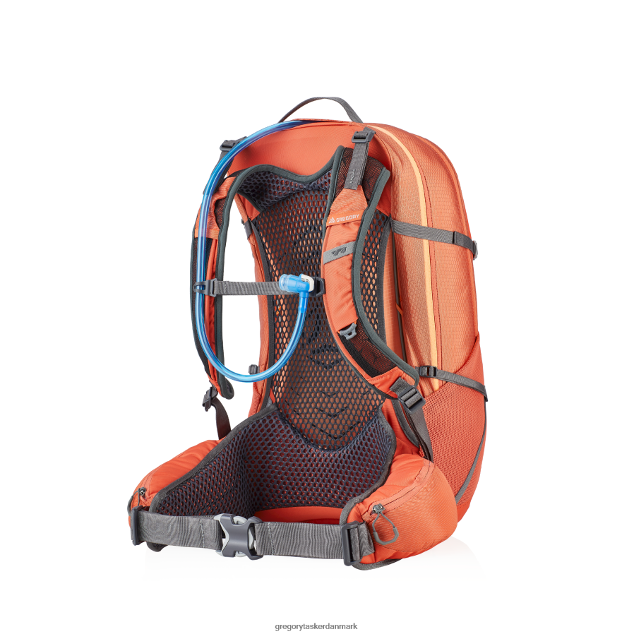 pakker dk Gregory Packs juni 30 h2o koralrød DF2THJ296