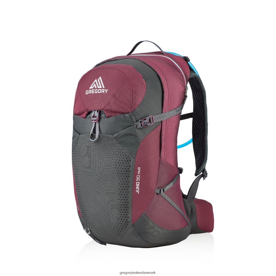 pakker dk Gregory Packs juni 30 h2o natskygge lilla DF2THJ299
