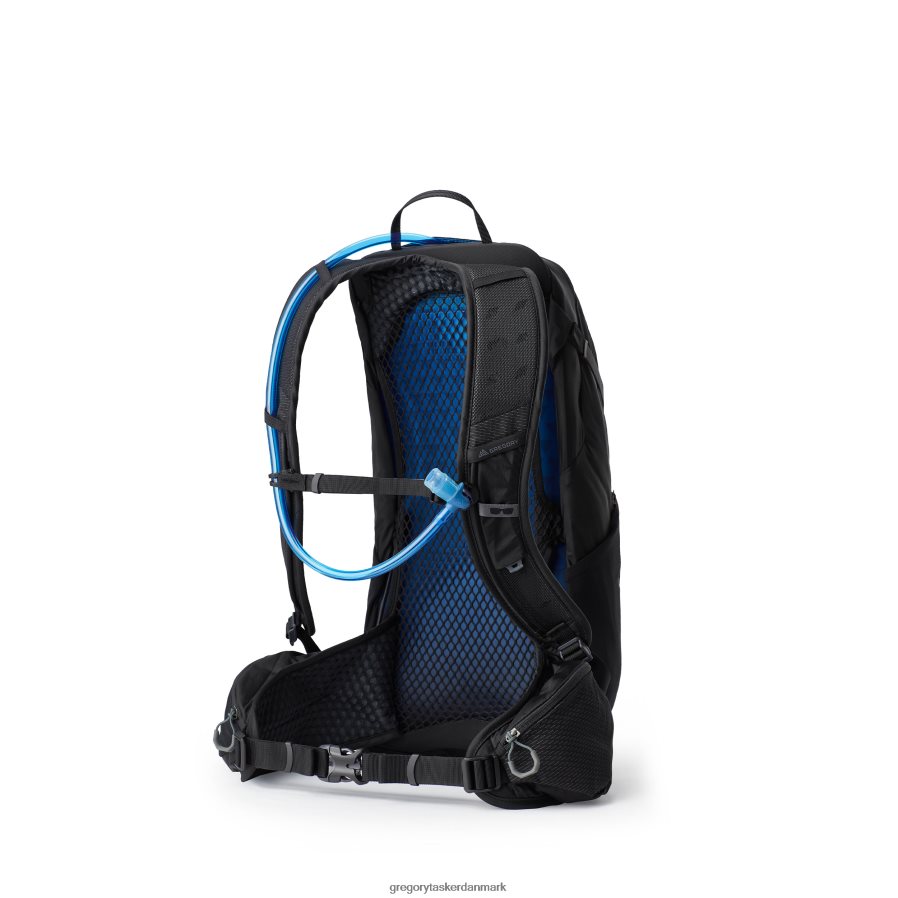 pakker dk Gregory Packs salve 16 h2o ozon sort DF2THJ295