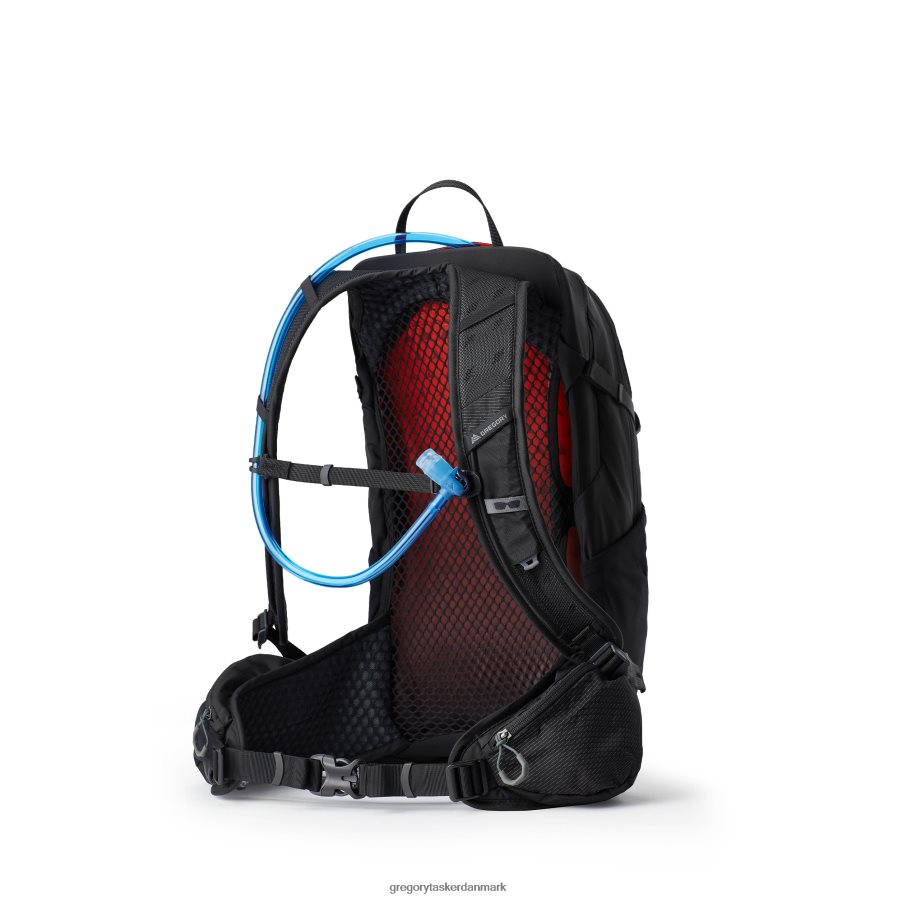 pakker dk Gregory Packs sula 16 h2o aurora sort DF2THJ291