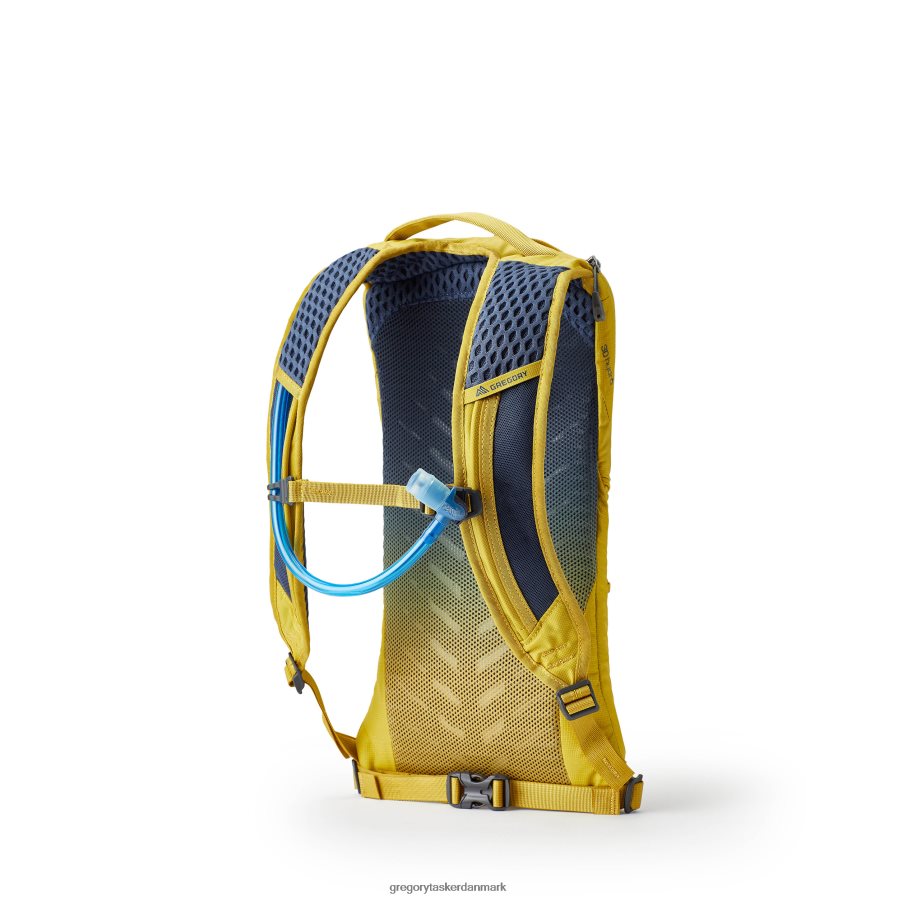 pakker dk Gregory Packs tempo 3 h2o mineralgul DF2THJ333