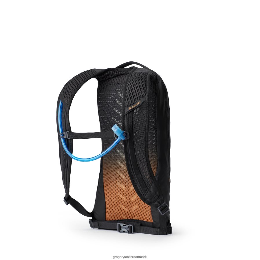 pakker dk Gregory Packs tempo 6 h2o kulstof bronze DF2THJ325