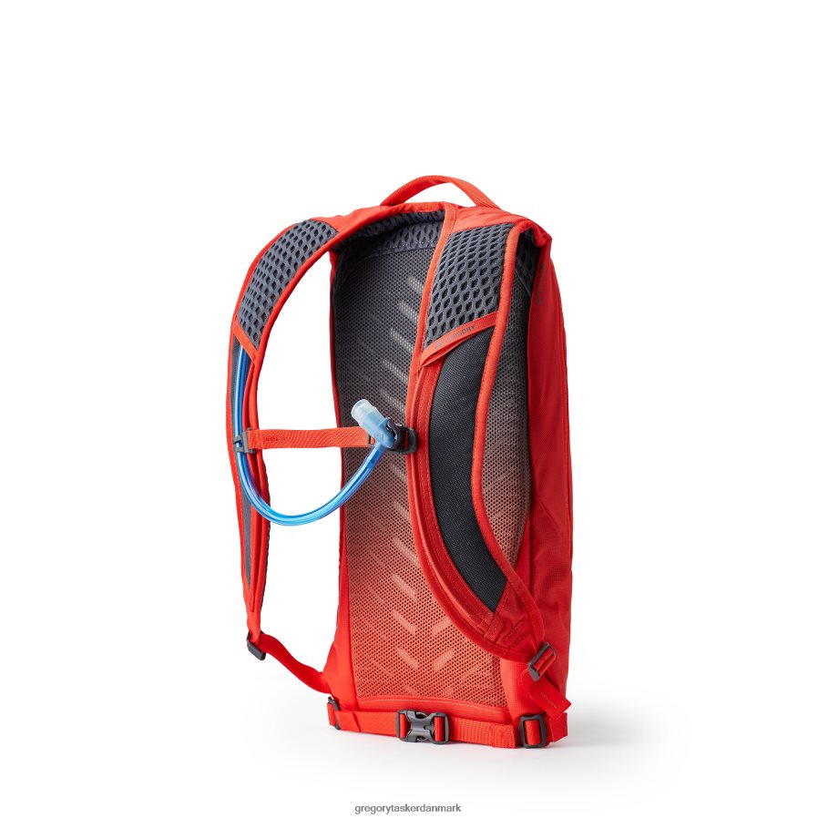 pakker dk Gregory Packs tempo 6 h2o oxy rød DF2THJ324
